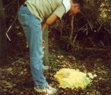 Grillen 2003_15