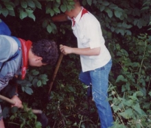 Kärwa 2003_19