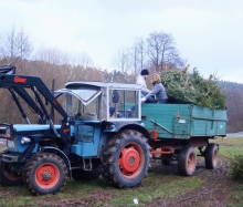 Christbaumaktion 2004_7