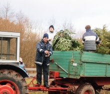 Christbaumaktion 2004_8