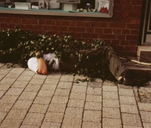 Kärwa 2004_10