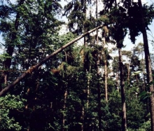 Kärwa 2004_23