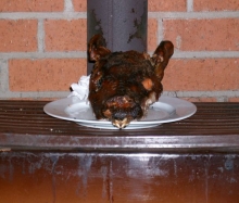 Spansau 2004_16