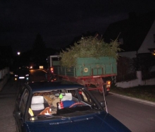 Christbaumaktion 2007_35