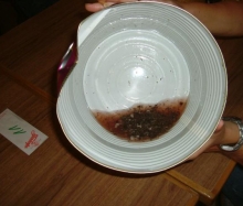 Kärwamontag 2007_39