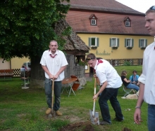 Kärwaeigrom 2010