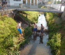 Kärwa 2014