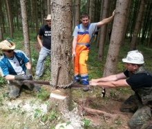 Kärwa 2014