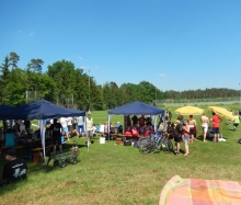 Kärwa 2015