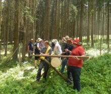 Kärwa 2015