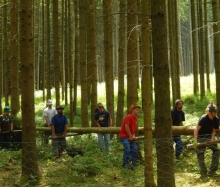 Kärwa 2015